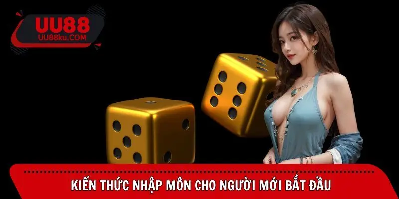 sicbo-uu88-kien-thuc-nhap-mon